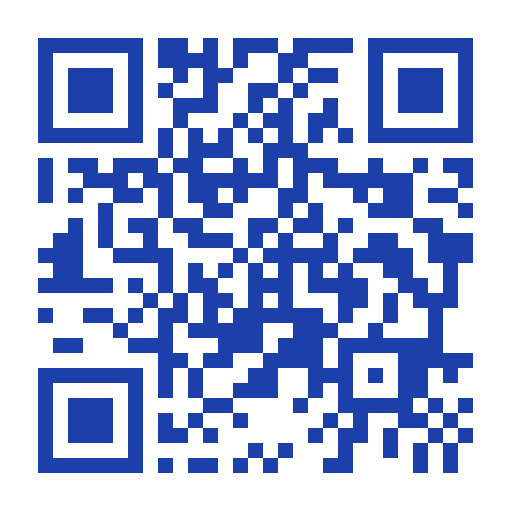 QR code image decoded from a live MCP tool response, using a custom color